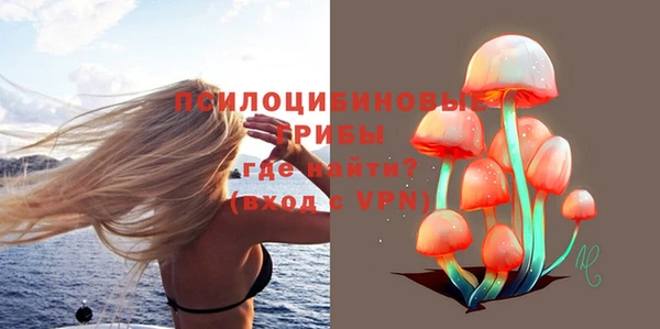 спиды Медногорск