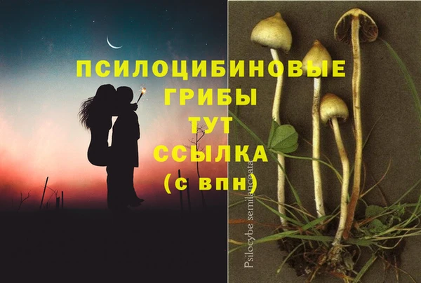 тгк Березники