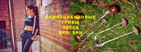 a pvp Мегион