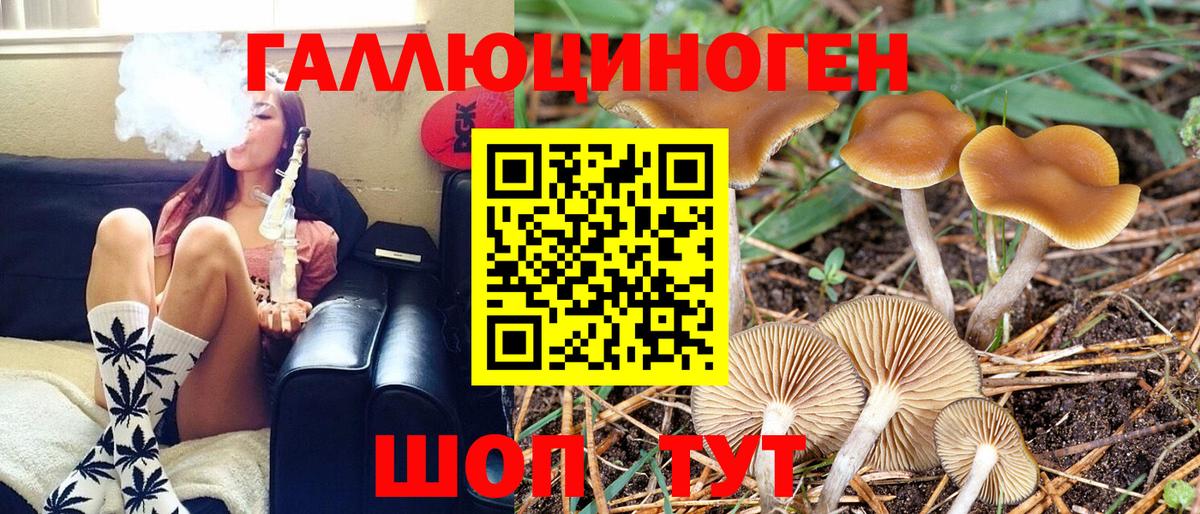 Галлюциногенные грибы Cubensis Дивногорск