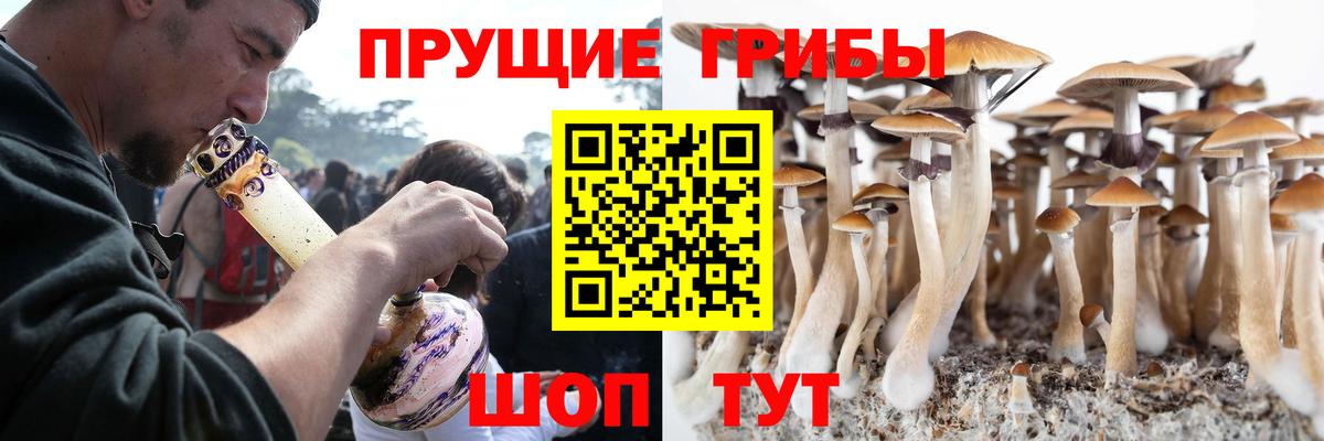 Галлюциногенные грибы Cubensis  Вход с VPN  Дивногорск 